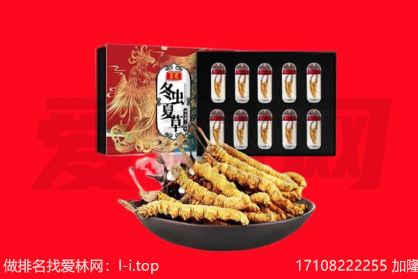 南通回收虫草.jpg